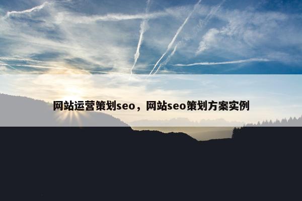 网站运营策划seo，网站seo策划方案实例
