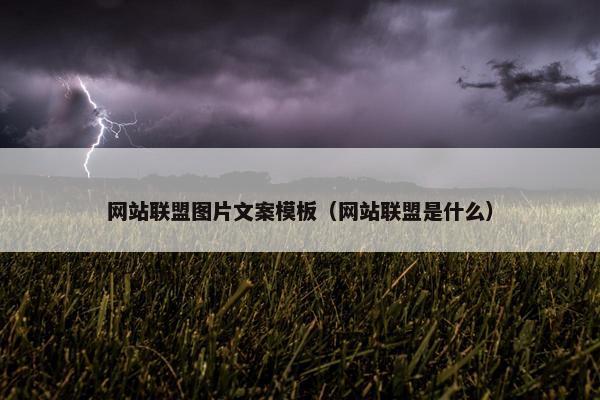 网站联盟图片文案模板（网站联盟是什么）