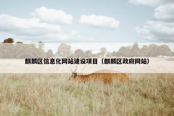 麒麟区信息化网站建设项目（麒麟区政府网站）
