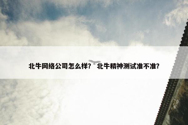 北牛网络公司怎么样？ 北牛精神测试准不准？