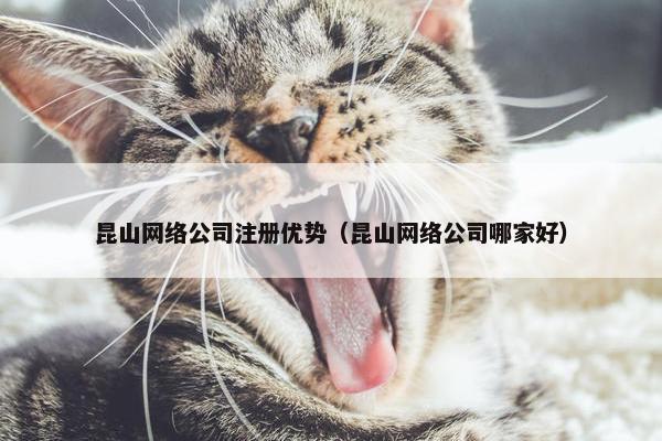 昆山网络公司注册优势（昆山网络公司哪家好）