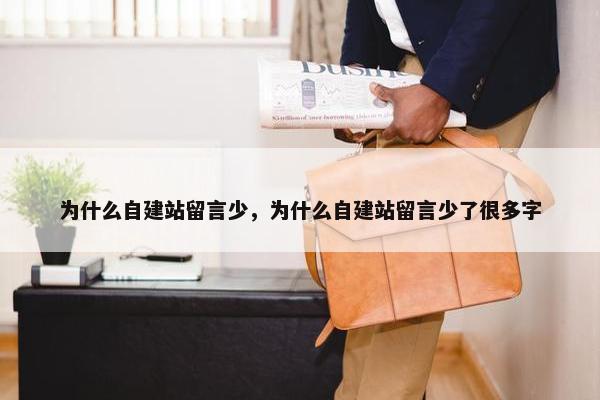 为什么自建站留言少，为什么自建站留言少了很多字