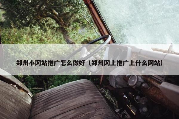 郑州小网站推广怎么做好（郑州网上推广上什么网站）