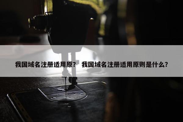 我国域名注册适用原？ 我国域名注册适用原则是什么？