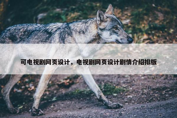 可电视剧网页设计，电视剧网页设计剧情介绍排版