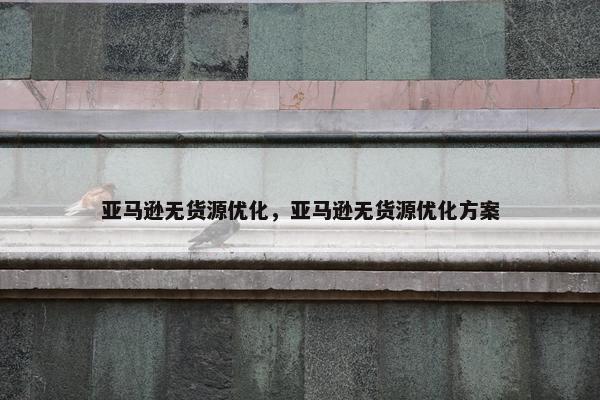 亚马逊无货源优化，亚马逊无货源优化方案