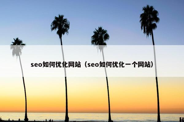 seo如何优化网站（seo如何优化一个网站）