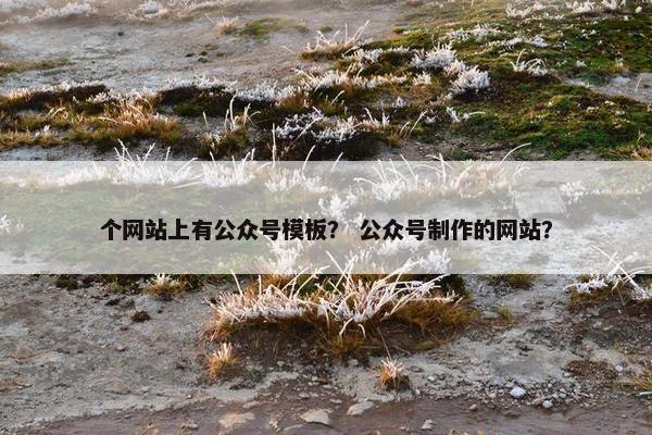 个网站上有公众号模板？ 公众号制作的网站？