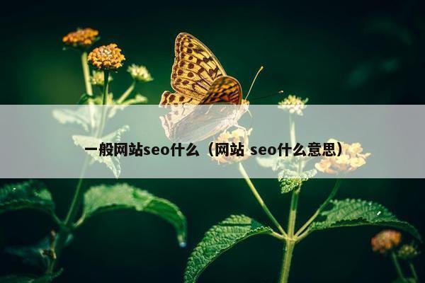 一般网站seo什么（网站 seo什么意思）