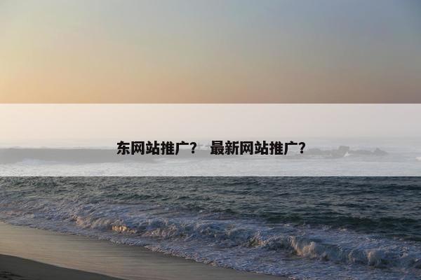 东网站推广？ 最新网站推广？
