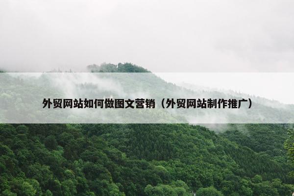 外贸网站如何做图文营销（外贸网站制作推广）