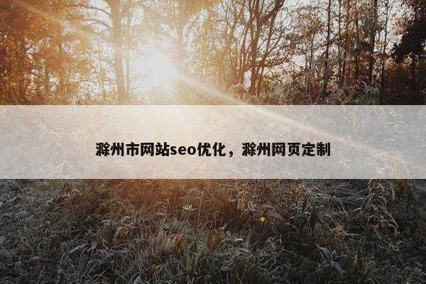 滁州市网站seo优化，滁州网页定制
