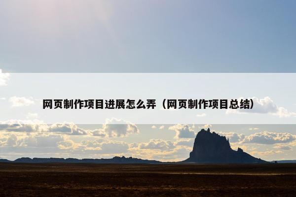 网页制作项目进展怎么弄（网页制作项目总结）