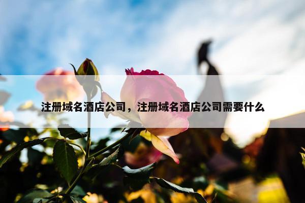 注册域名酒店公司，注册域名酒店公司需要什么