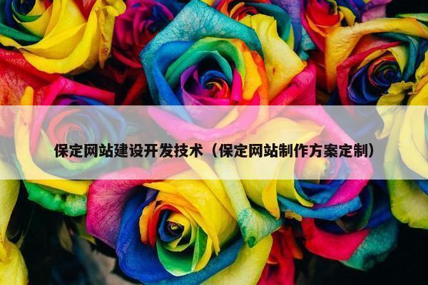 保定网站建设开发技术（保定网站制作方案定制）