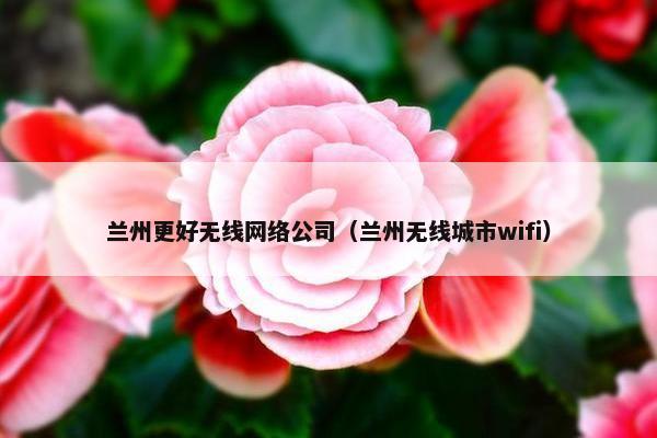 兰州更好无线网络公司（兰州无线城市wifi）
