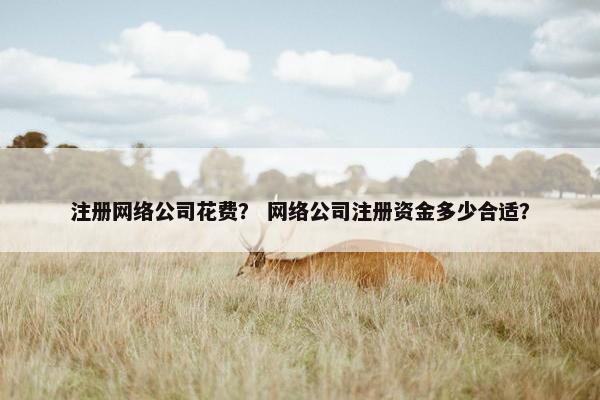 注册网络公司花费？ 网络公司注册资金多少合适？