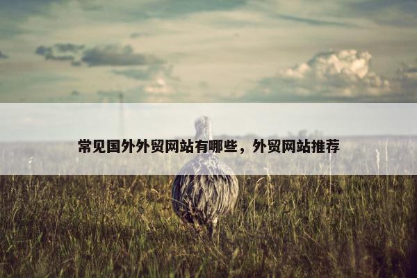 常见国外外贸网站有哪些，外贸网站推荐