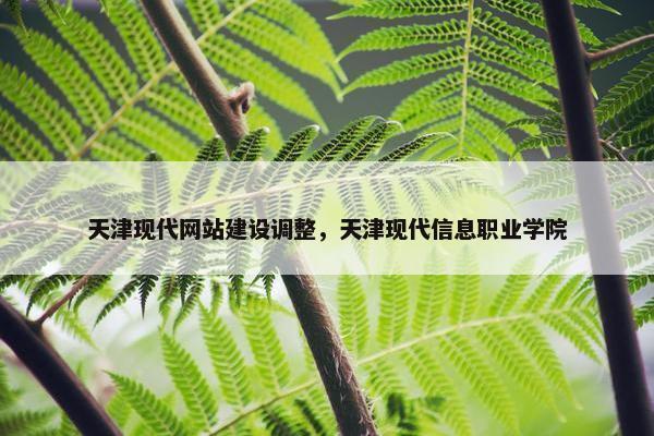 天津现代网站建设调整，天津现代信息职业学院