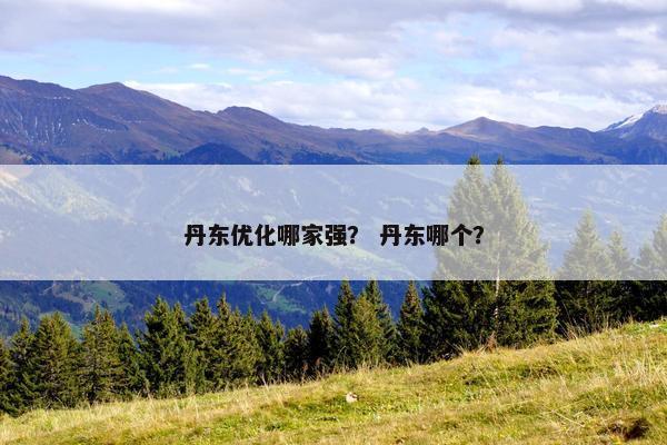 丹东优化哪家强？ 丹东哪个？