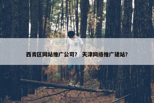 西青区网站推广公司？ 天津网络推广建站？