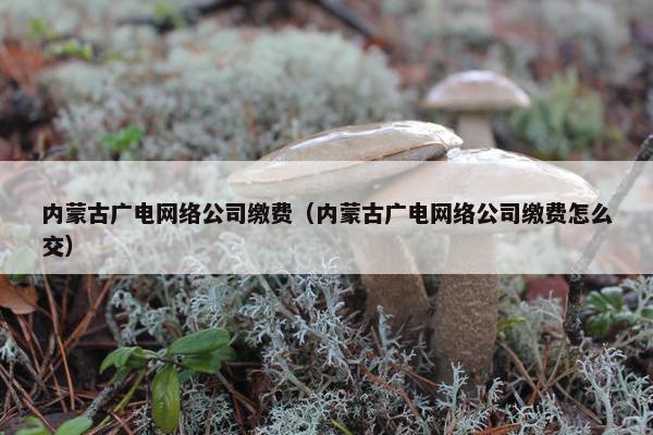 内蒙古广电网络公司缴费（内蒙古广电网络公司缴费怎么交）