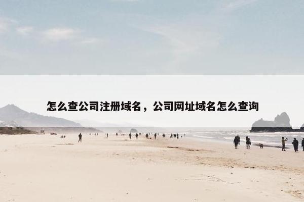 怎么查公司注册域名，公司网址域名怎么查询