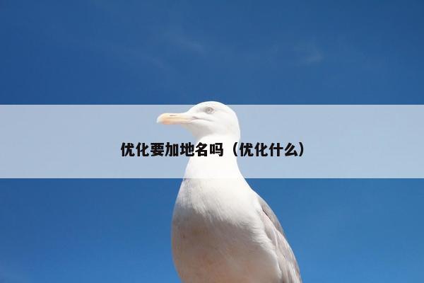 优化要加地名吗（优化什么）