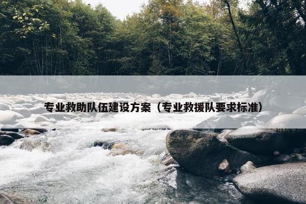 专业救助队伍建设方案（专业救援队要求标准）