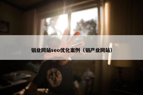 铝业网站seo优化案例（铝产业网站）