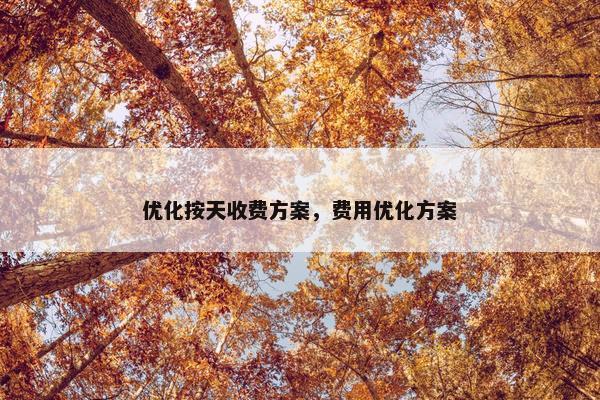 优化按天收费方案，费用优化方案