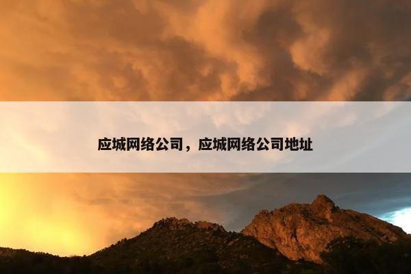 应城网络公司，应城网络公司地址