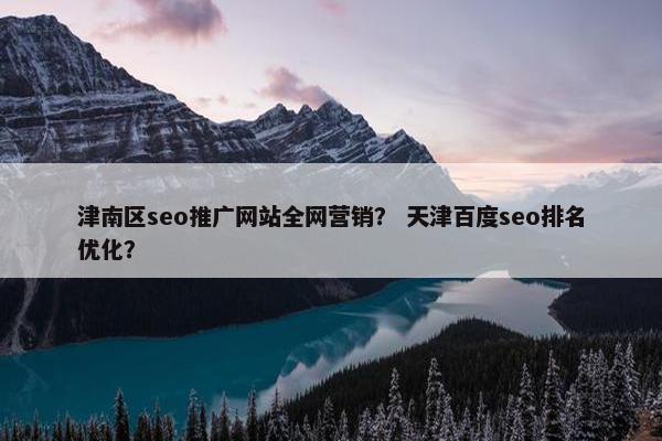 津南区seo推广网站全网营销？ 天津百度seo排名优化？