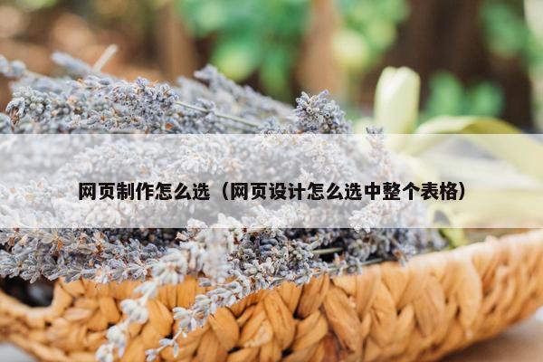 网页制作怎么选（网页设计怎么选中整个表格）