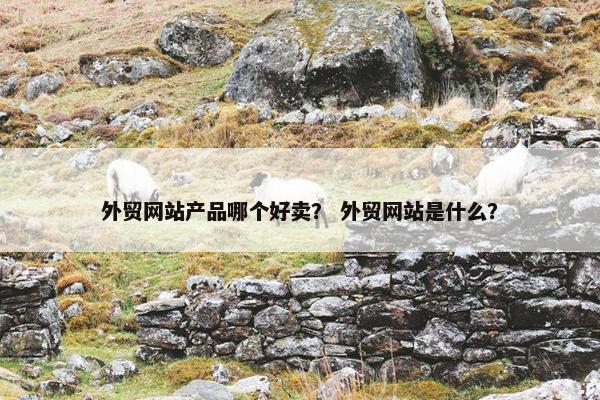 外贸网站产品哪个好卖？ 外贸网站是什么？