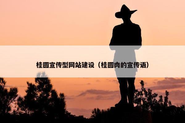 桂圆宣传型网站建设（桂圆肉的宣传语）