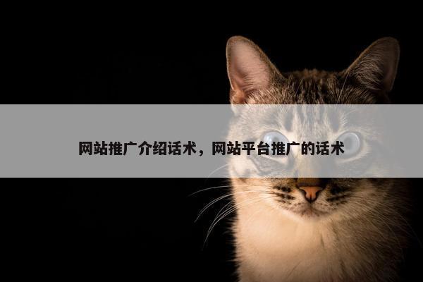 网站推广介绍话术，网站平台推广的话术