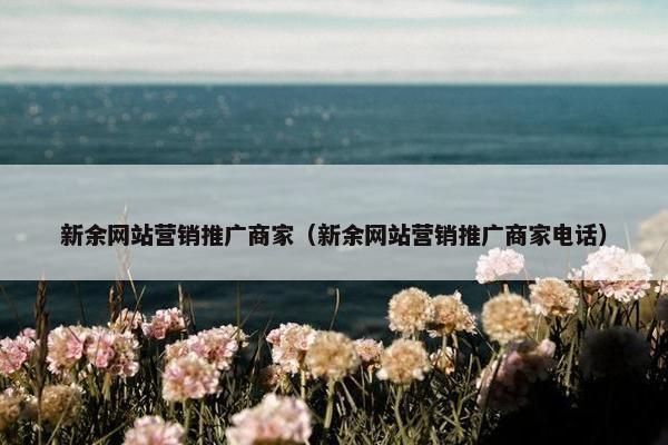 新余网站营销推广商家（新余网站营销推广商家电话）