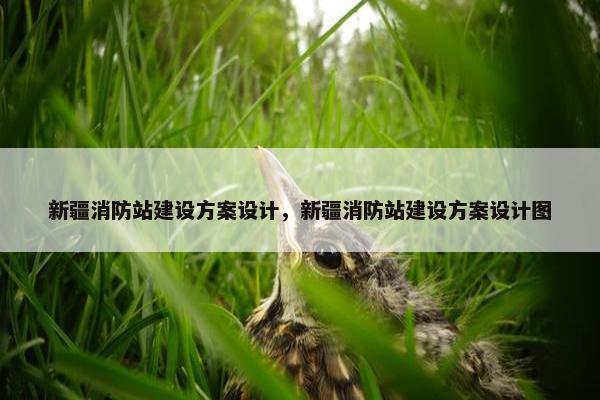 新疆消防站建设方案设计，新疆消防站建设方案设计图