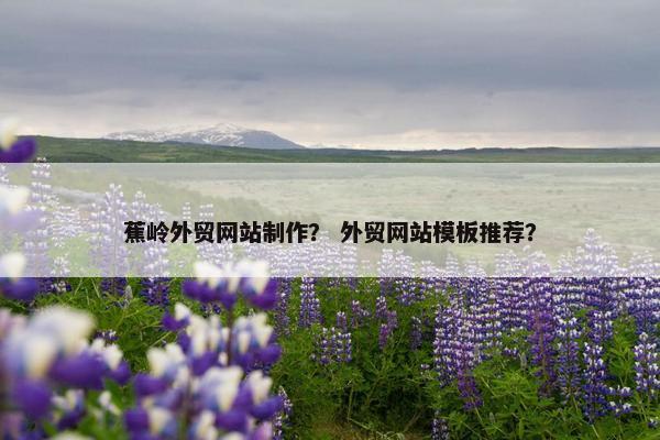 蕉岭外贸网站制作？ 外贸网站模板推荐？