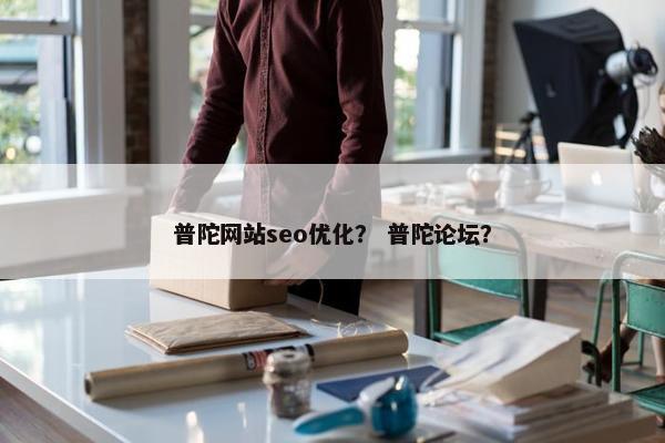 普陀网站seo优化？ 普陀论坛？