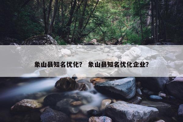 象山县知名优化？ 象山县知名优化企业？