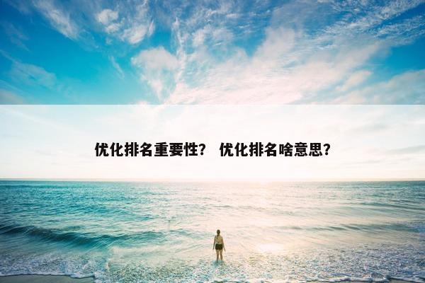 优化排名重要性？ 优化排名啥意思？