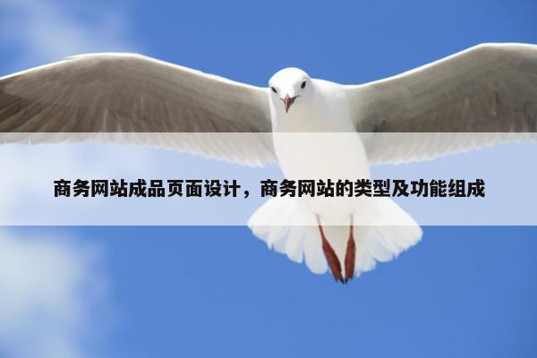 商务网站成品页面设计，商务网站的类型及功能组成