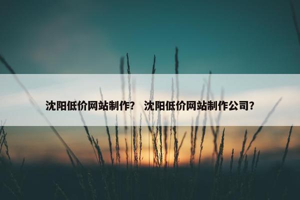 沈阳低价网站制作？ 沈阳低价网站制作公司？