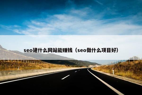 seo建什么网站能赚钱（seo做什么项目好）