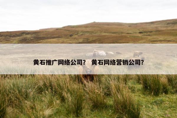 黄石推广网络公司？ 黄石网络营销公司？