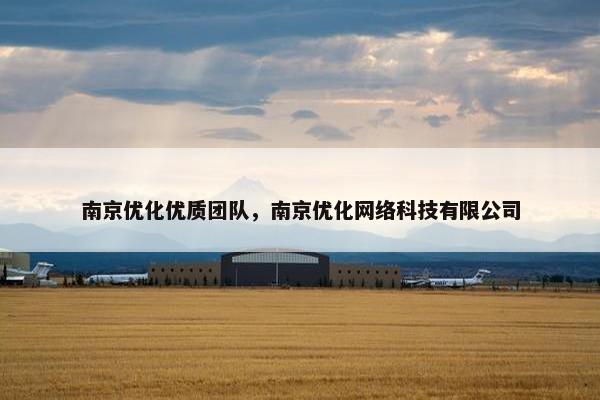 南京优化优质团队，南京优化网络科技有限公司