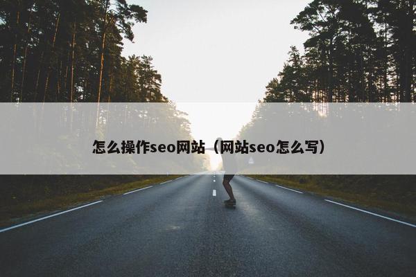 怎么操作seo网站（网站seo怎么写）