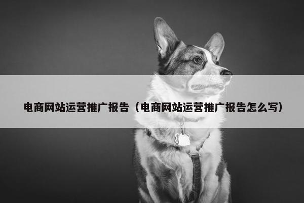 电商网站运营推广报告（电商网站运营推广报告怎么写）